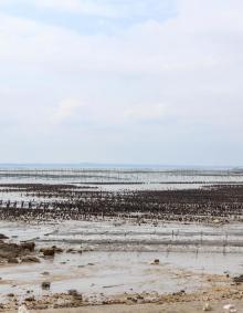 小嶝岛1