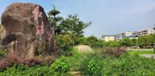 共和国摇篮旅游区-红井景区24