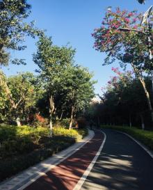 厦门山海健康步道20