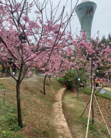 厦门山海健康步道14