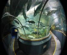 厦门海底世界23