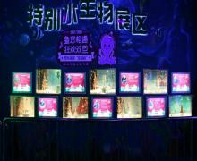 厦门海底世界18