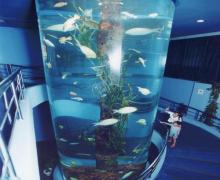 厦门海底世界24