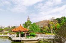 南普陀寺19