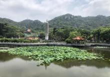 南普陀寺22