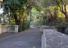 厦门园林植物园21