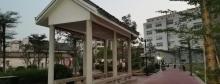高美小公园3