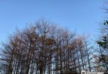 埔田农业观光区3