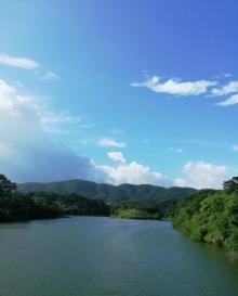 东龙森林公园2
