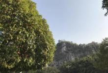 灵峰公园4