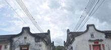 新厝林1