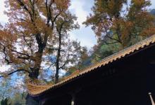 舜帝陵景区15