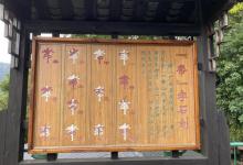 山水园11