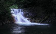 阳明山国家森林公园3