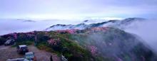 阳明山国家森林公园7