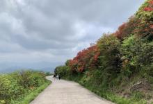 阳明山国家森林公园24