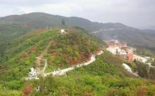 阳明山国家森林公园30