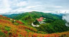 阳明山国家森林公园8