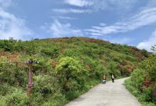 阳明山国家森林公园26