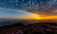 阳明山国家森林公园13