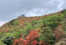 阳明山国家森林公园27