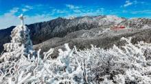 阳明山国家森林公园11
