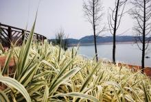 白廊景区16