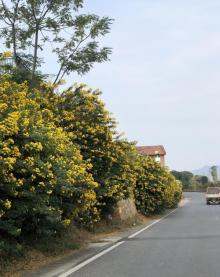 白廊景区23