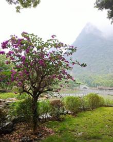 阳朔公园14