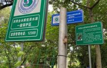 洪秀全水库1