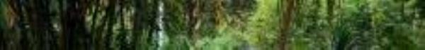 鼎福私家花园15