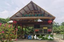 天湖鹭鸟生态风景区14