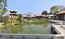 桃花岛2