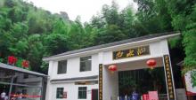 白水仙1