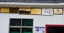 白水仙13