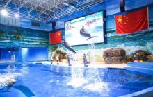 赣州极地海洋世界23