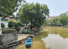 艇仔湖公园4