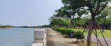 和穗湿地公园4