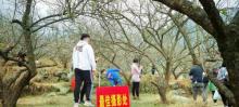 大沙镇榄坑梅园1
