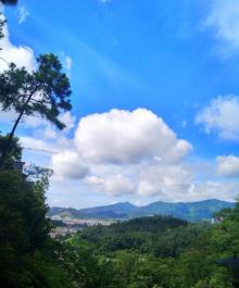 席帽山森林公园14