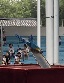 徐州动物园5