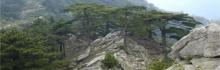 大别山主峰景区白马尖11