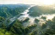 大别山7