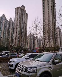 龙子湖风景区15
