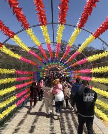 桃花涧17