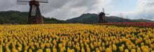 西九华山风景区15