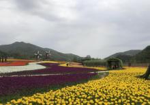 西九华山风景区29