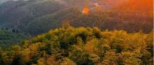 西九华山风景区6