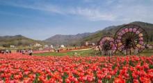 西九华山风景区14
