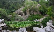 云龙山15